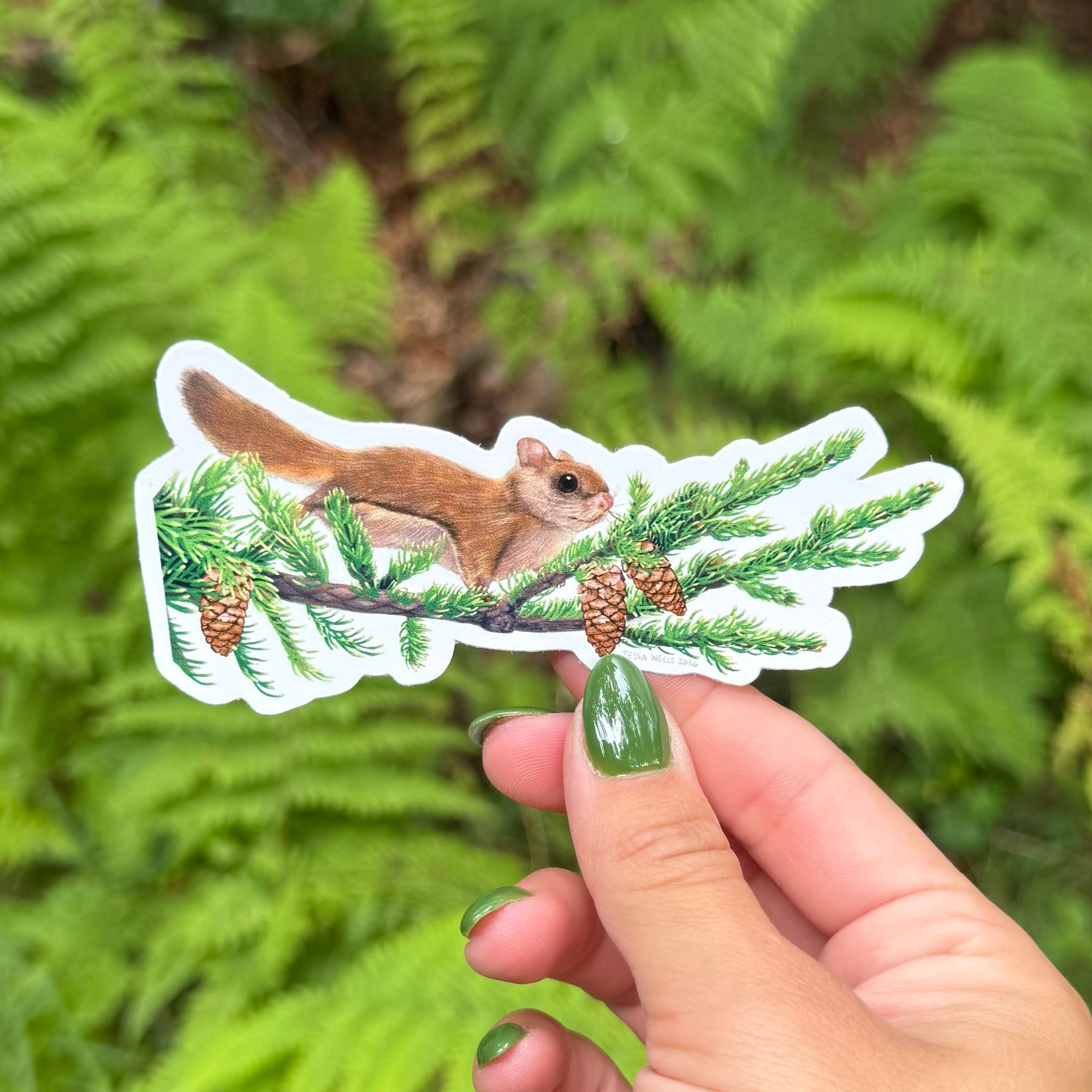 Carolina Northern Flying Squirrel Sticker