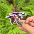 Bufflehead Duck Sticker