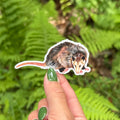 Opossum Sticker