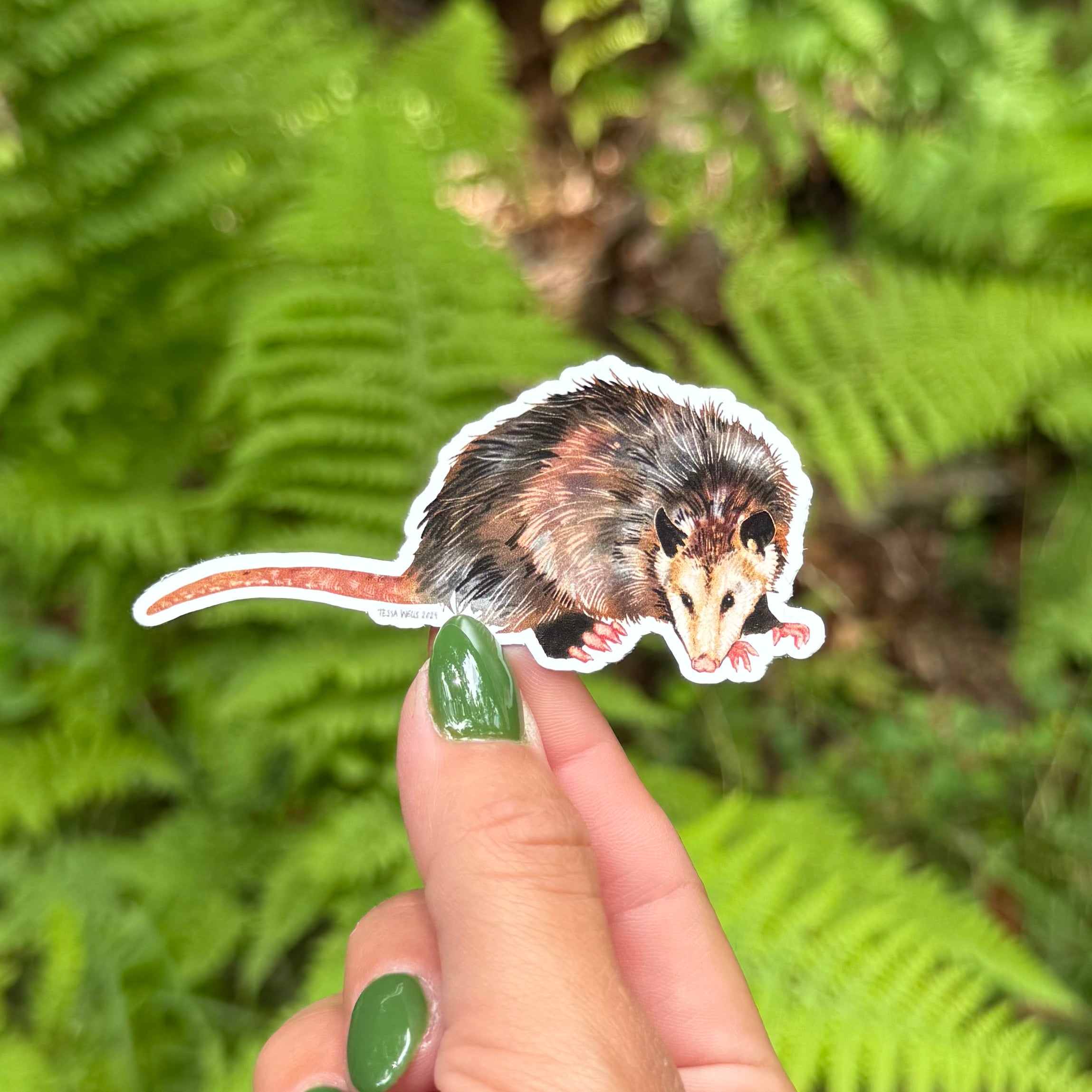 Opossum Sticker