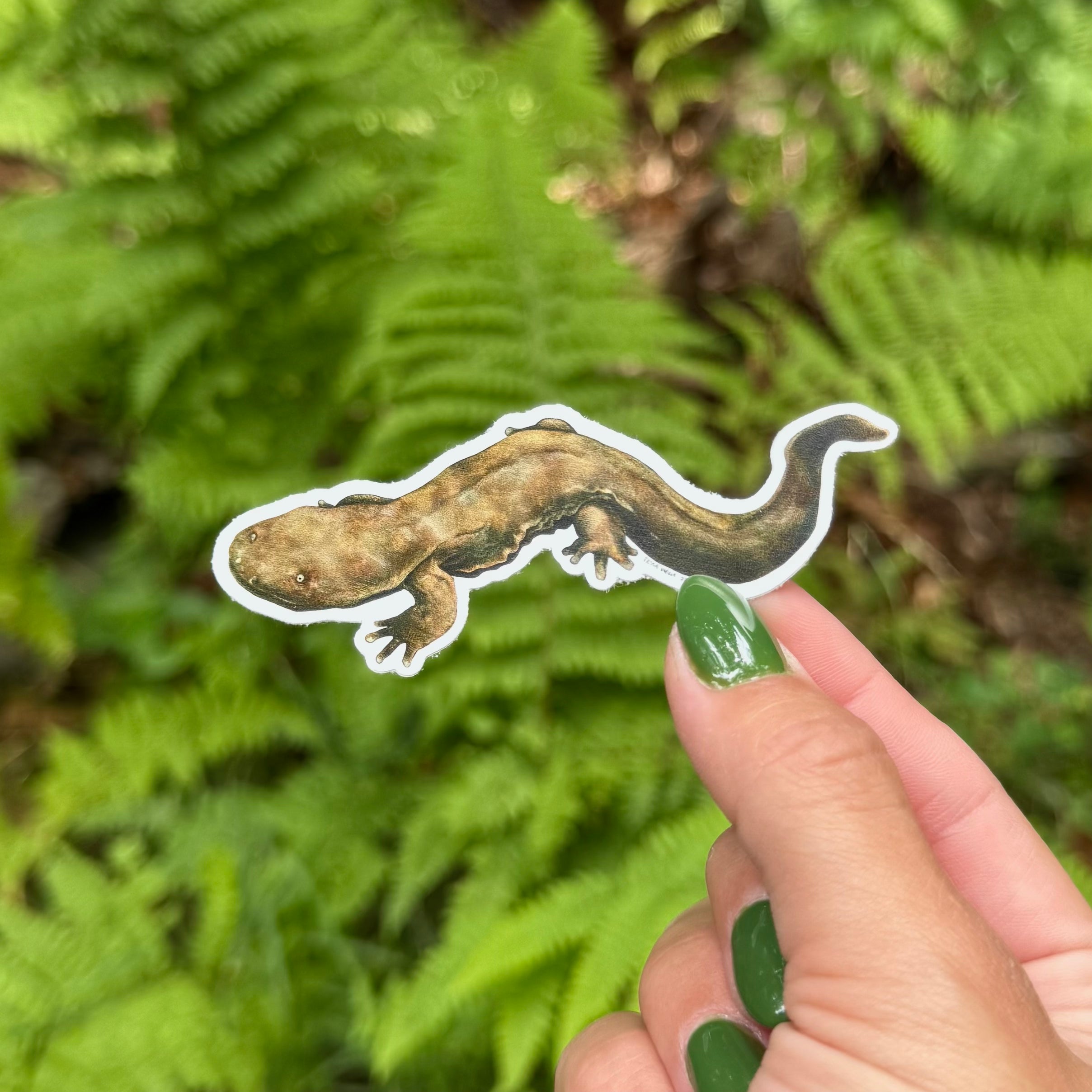 Hellbender Sticker
