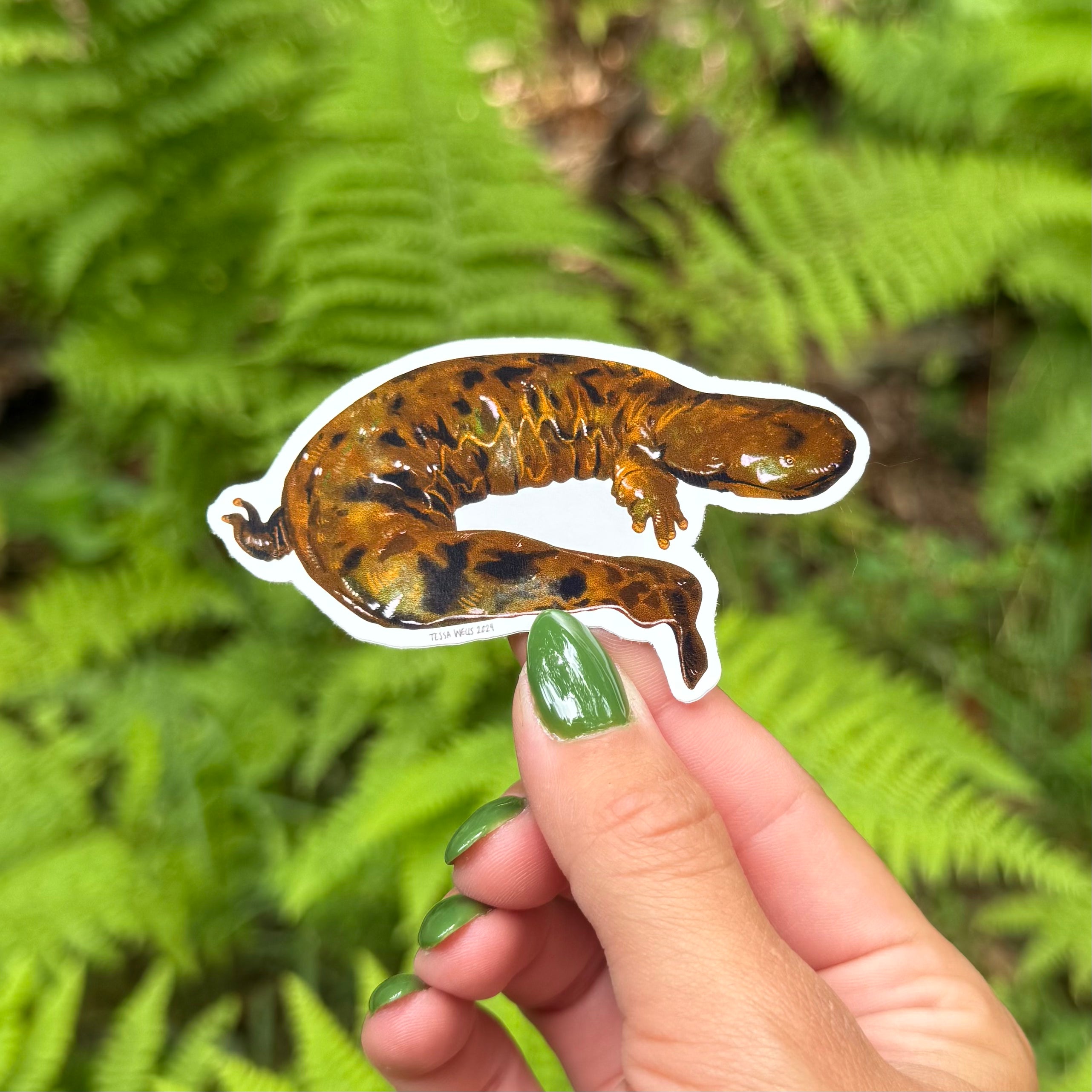 Hellbender Sticker