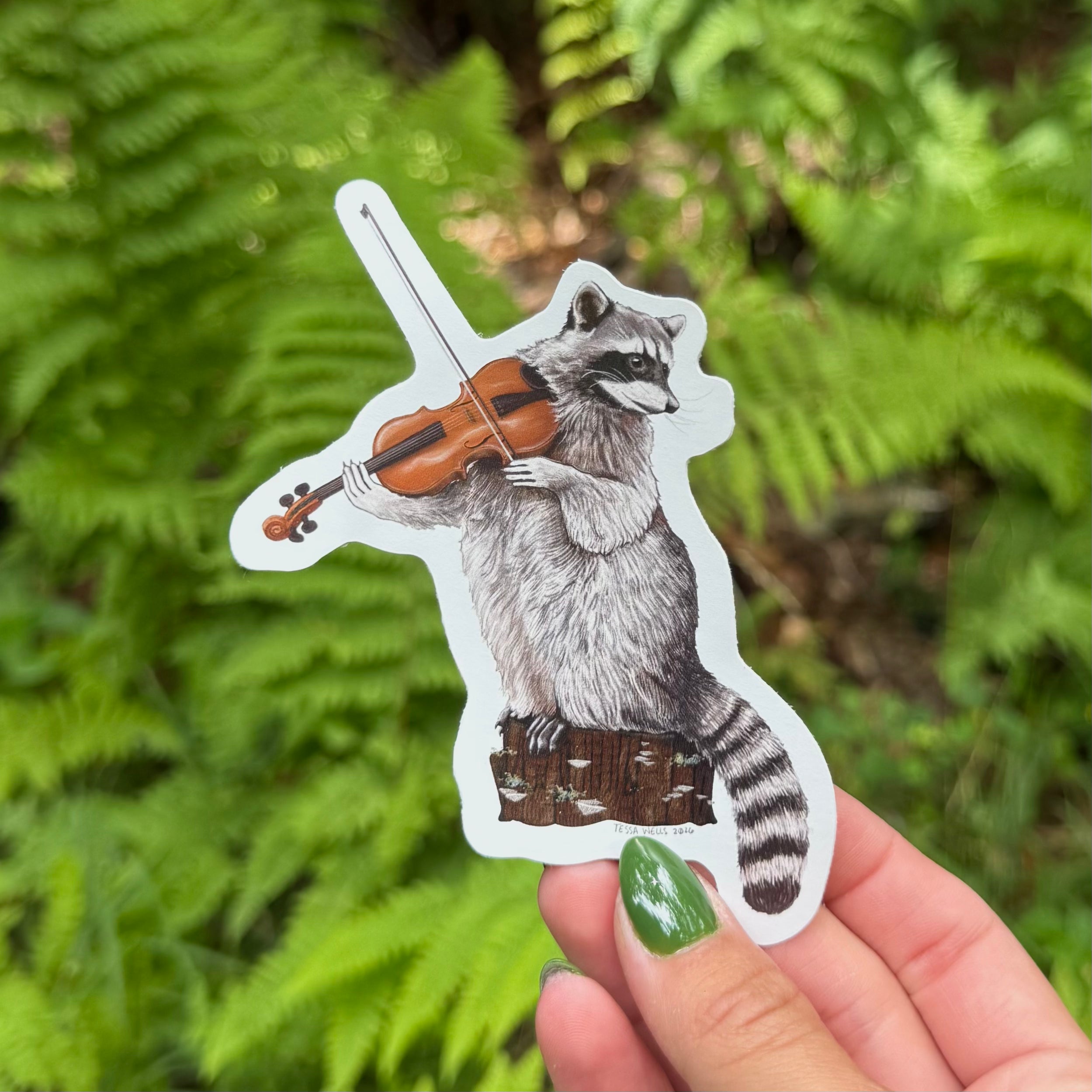 Fiddlin' Raccoon