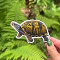 Eastern Box Turtle Sticker