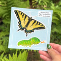 Appalachian Tiger Swallowtail Sticker Sheet
