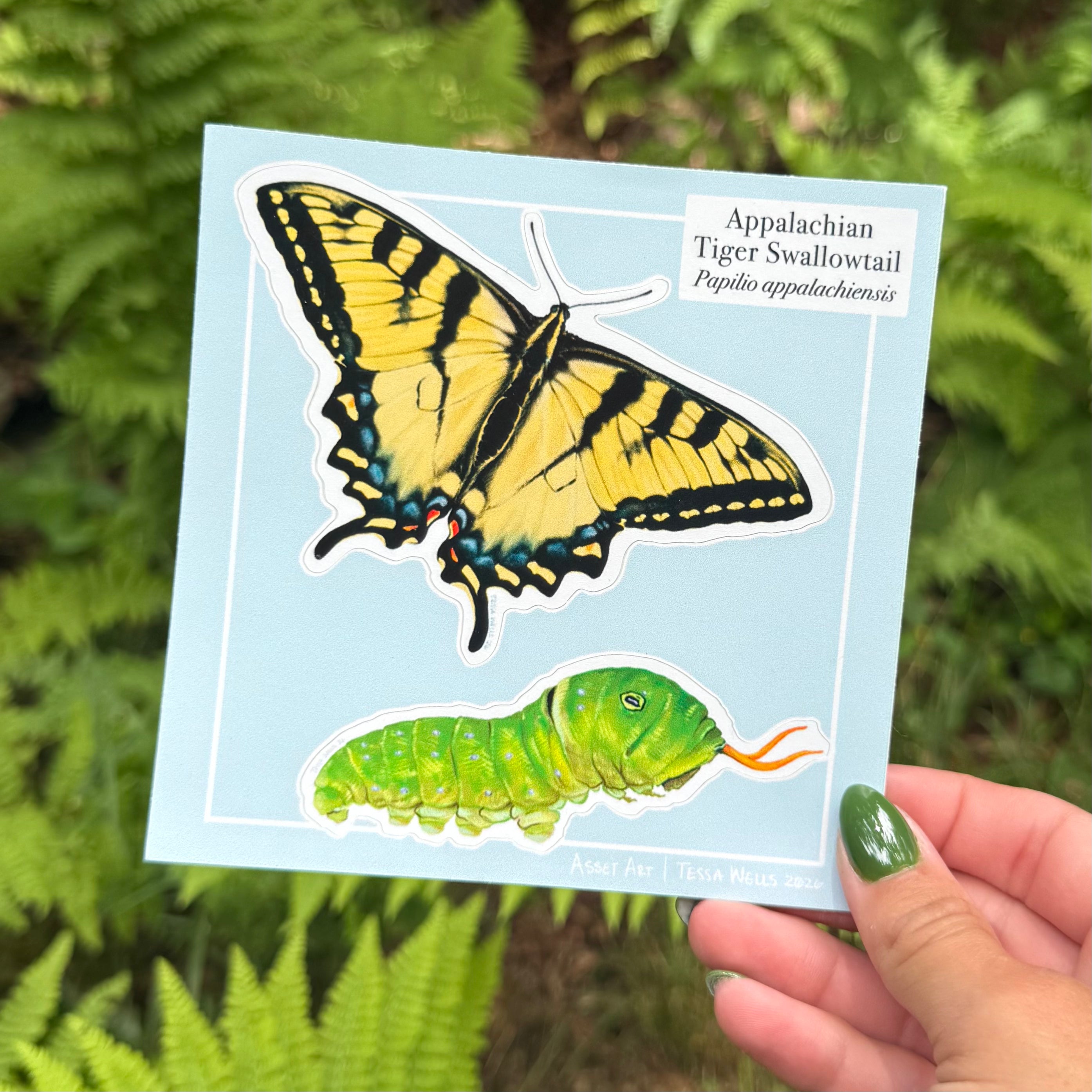 Appalachian Tiger Swallowtail Sticker Sheet