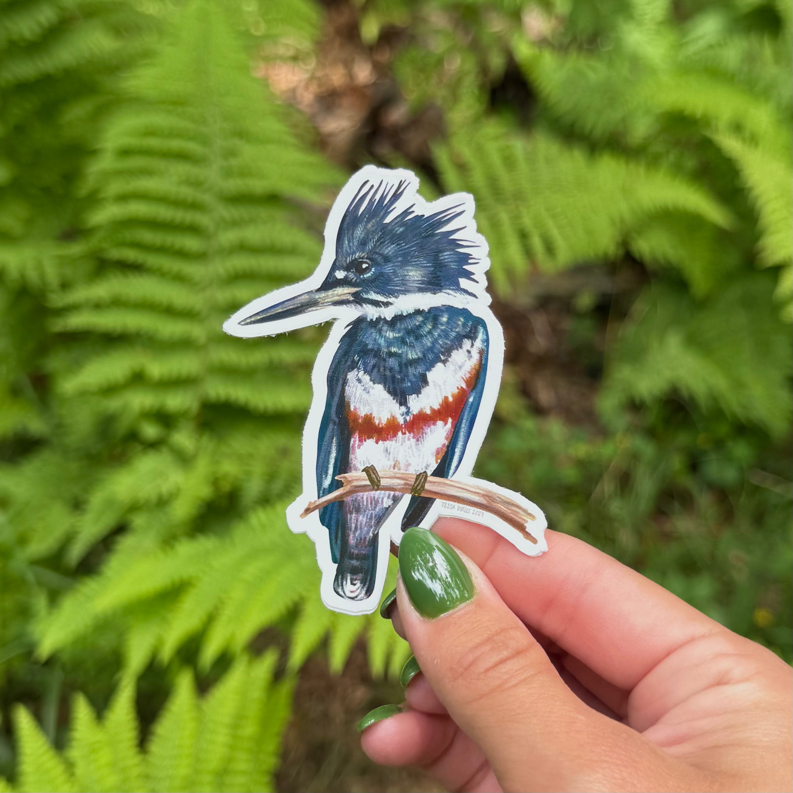 Kingfisher Sticker