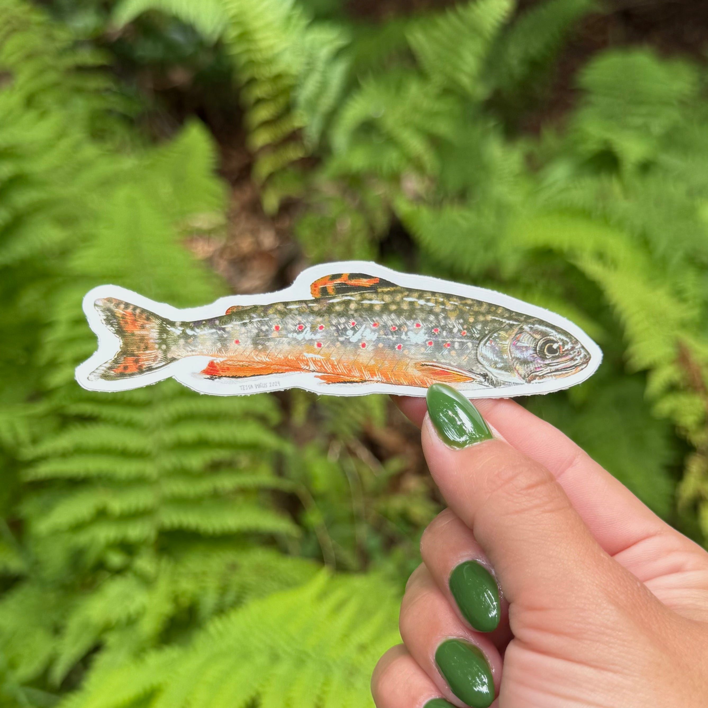 Brooke Trout Sticker