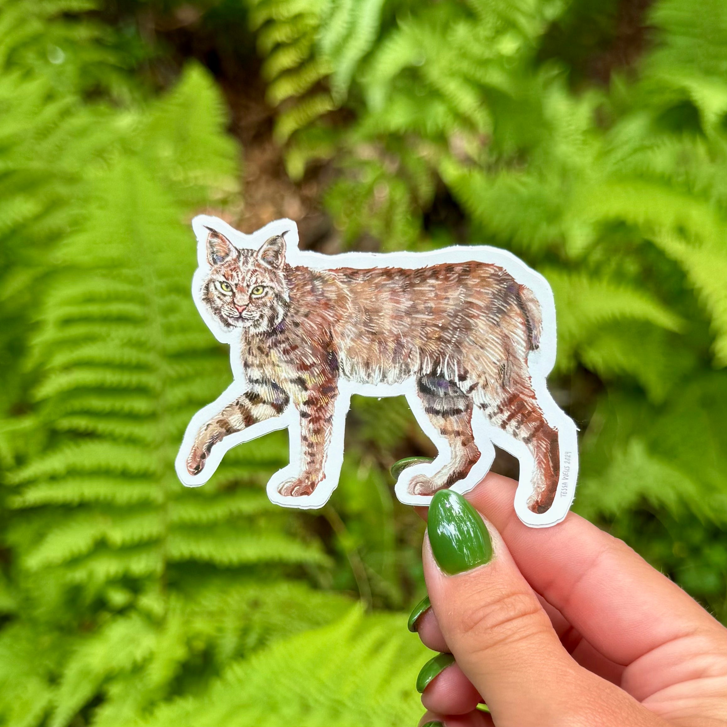 Bobcat Sticker
