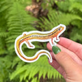 Blue Ridge Two-lined Salamander Sticker