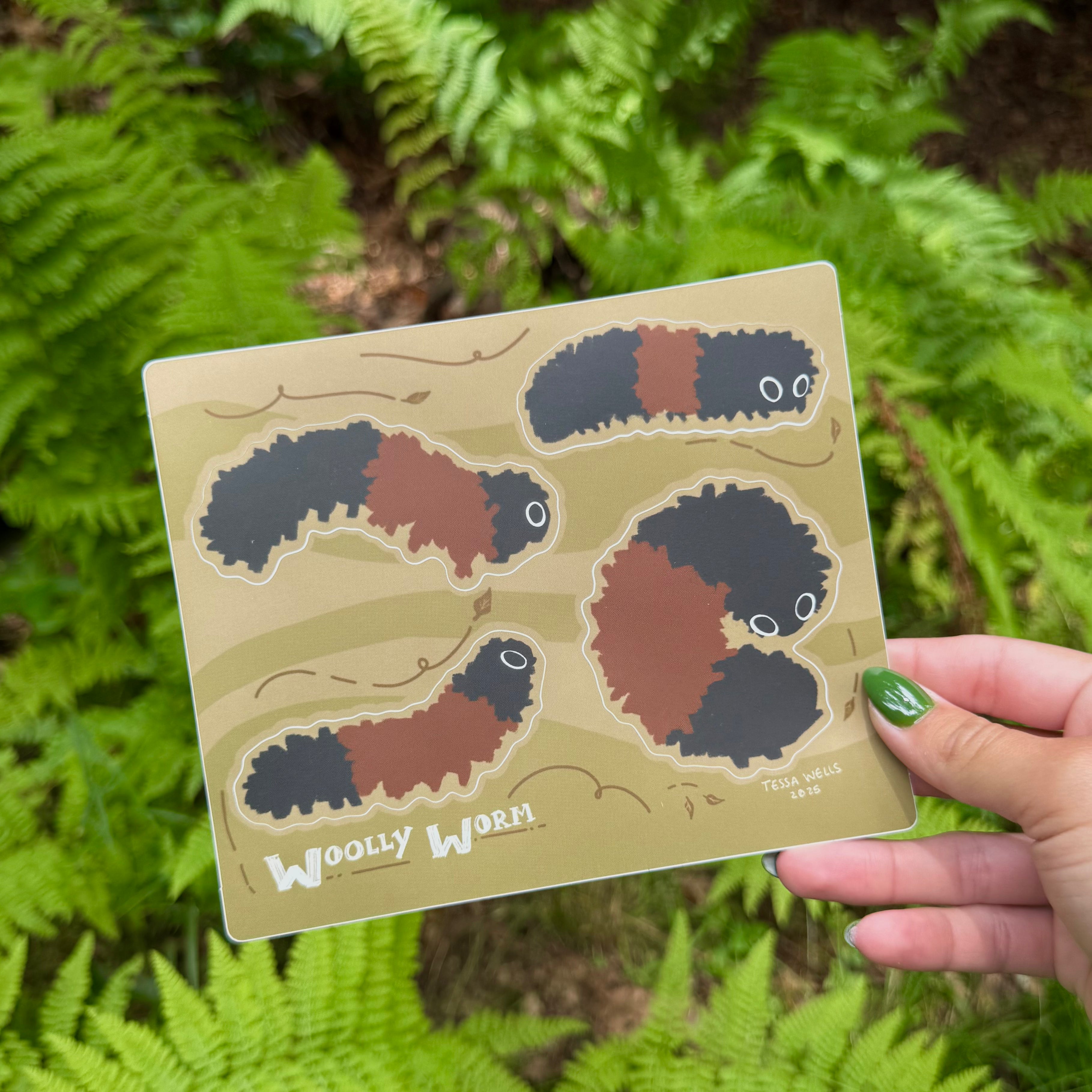 Wooly Worm Sticker Sheet (2025)