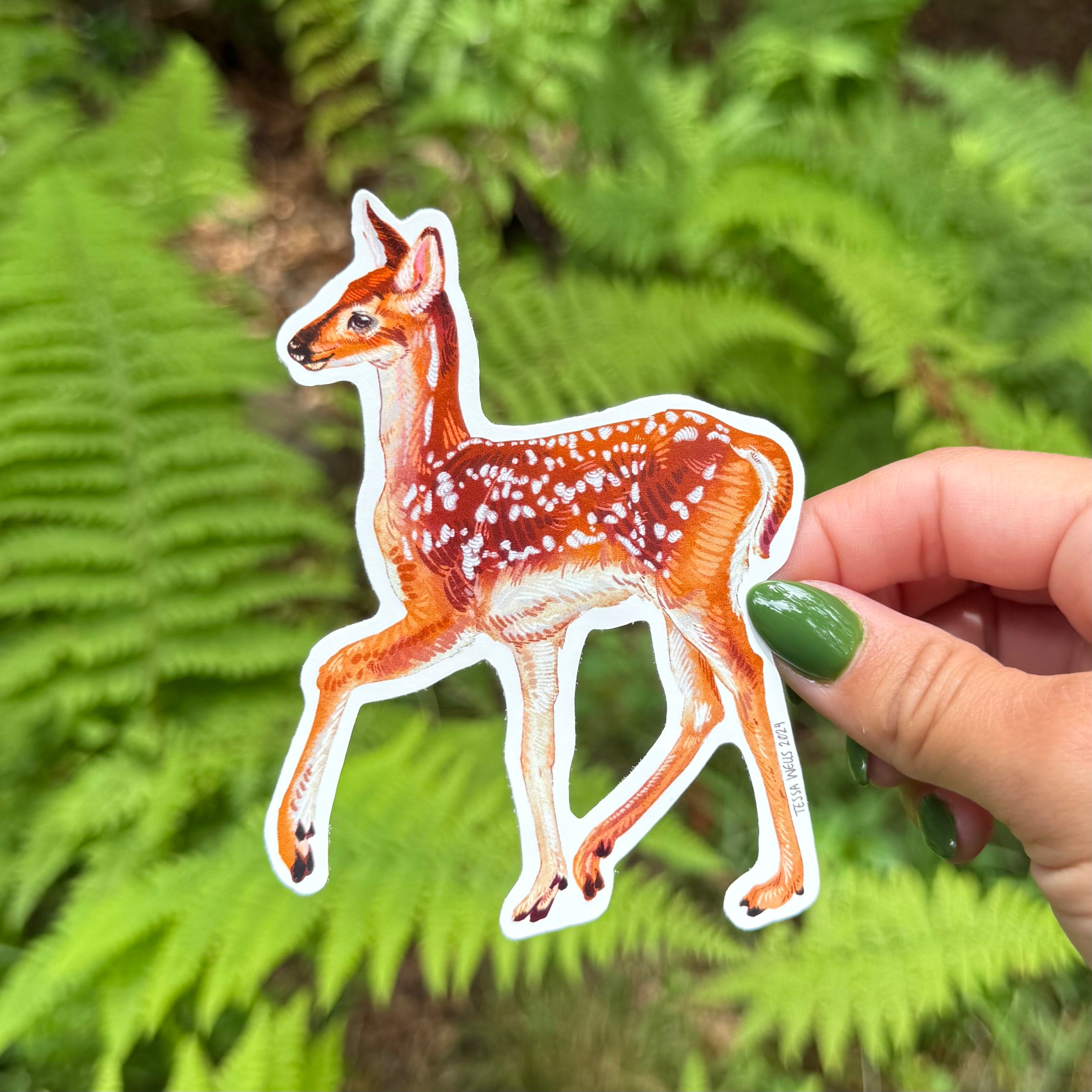 White-tailed Deer Fawn Sticker