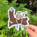 Bullfrog on Banjo Sticker