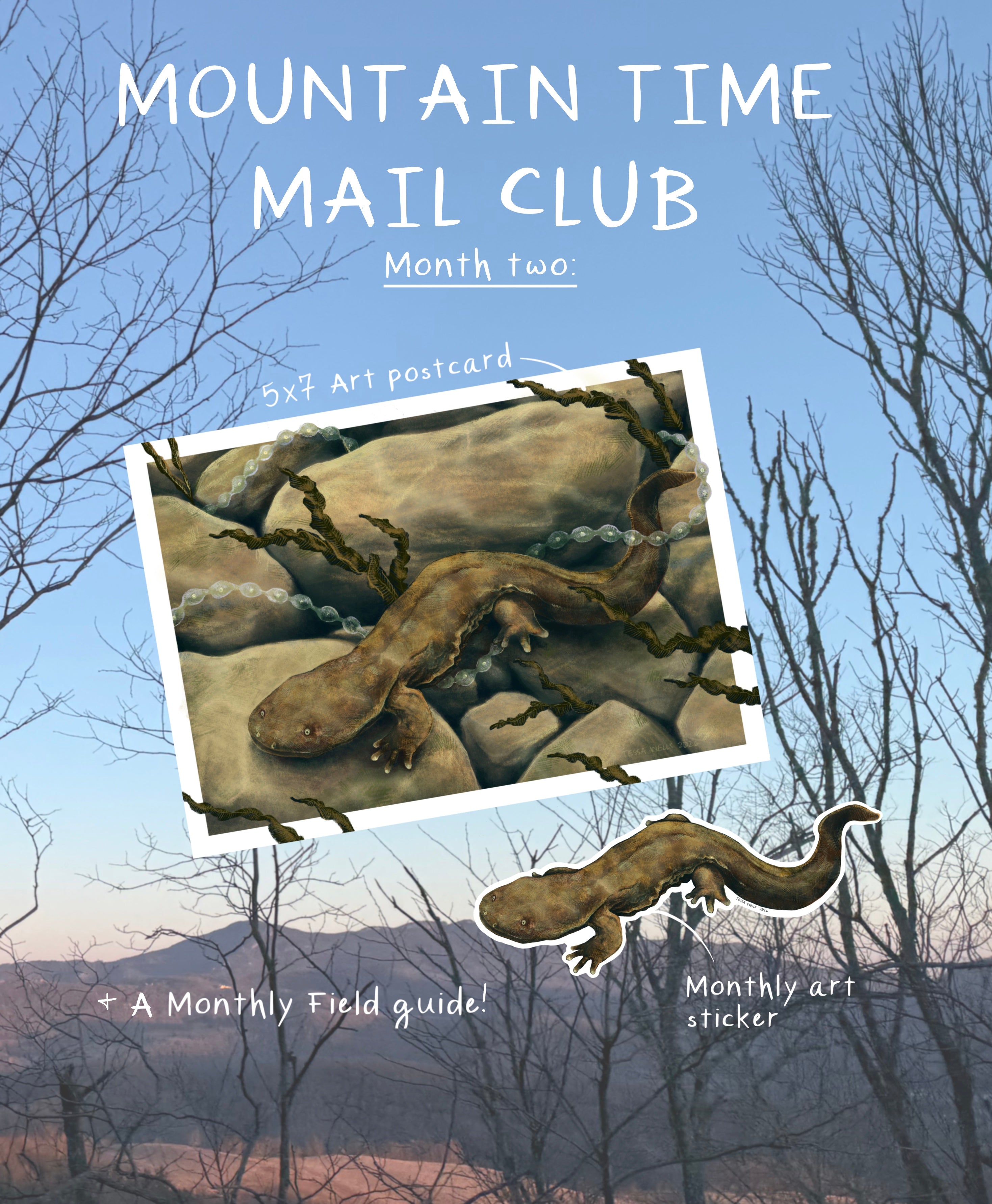 Mountain Time Mail Club
