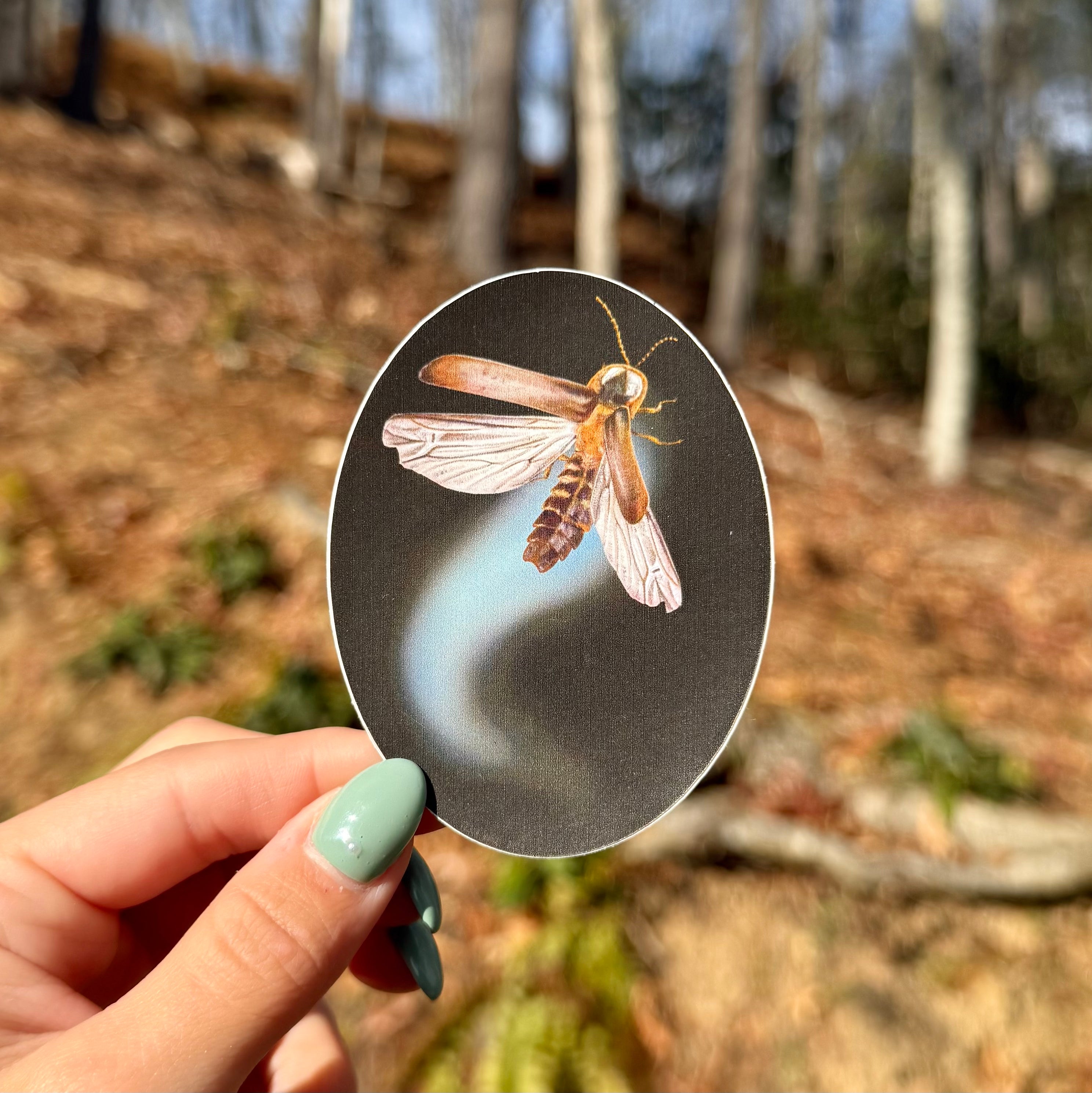 Blue Ghost Firefly Sticker